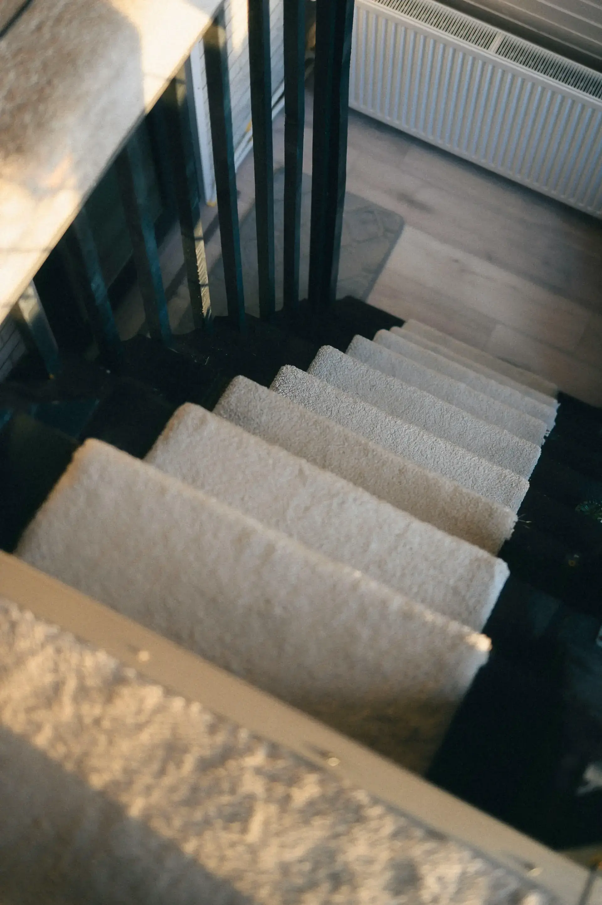 Carpet